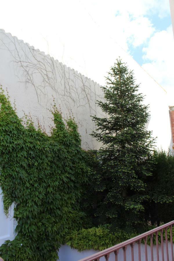 Villa Rural El Campillo de Rodalquilar المظهر الخارجي الصورة